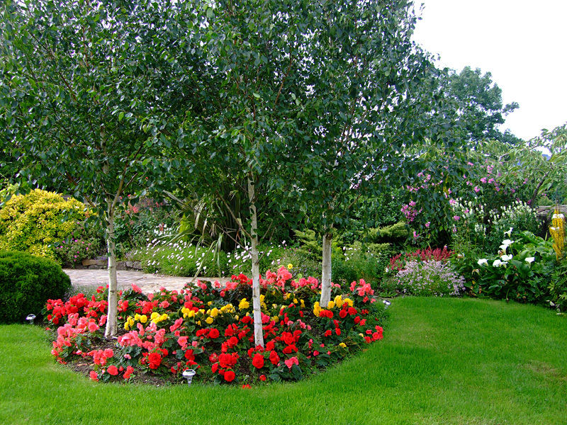 Rosdarrig House Hotel Boyle Bagian luar foto